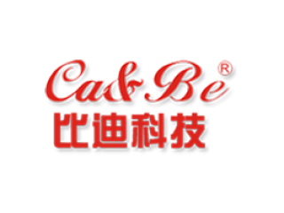 廣西比迪光電科技工程有限責(zé)任公司